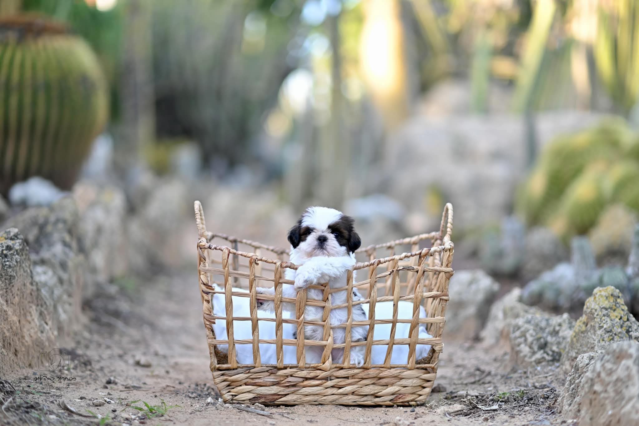 whatsapp image 2025 09 04 at 12.22.12 db8f0a55